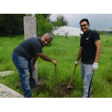 BVC Foundation Plants Over 1000 Trees